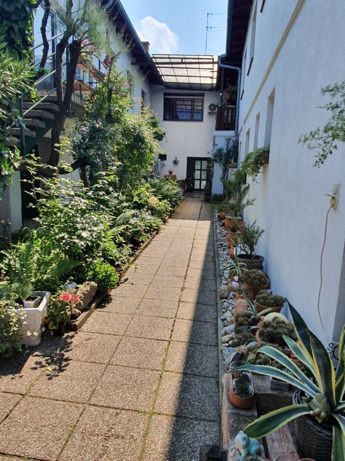 Appartement Roiss Podersdorf am See Exteriér fotografie